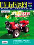 林业劳动安全