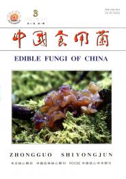 中国食用菌杂志