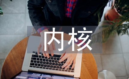 内核边层可控放权式改革