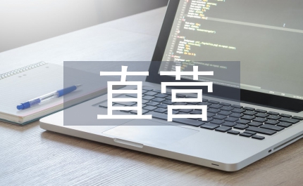 直营连锁企业电子商务论文