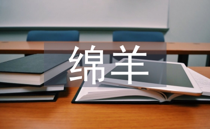 向日葵与绵羊们