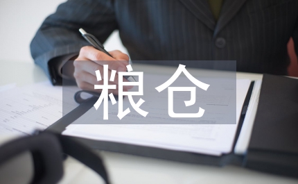 区粮仓清查工作方案