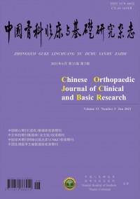 中国骨科临床与基础研究