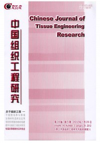 中国组织工程研究与临床康复杂志