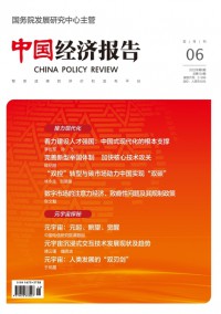 中国经济报告杂志