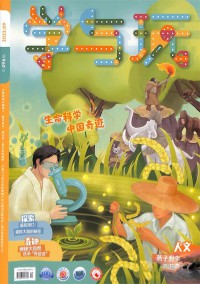 学与玩杂志