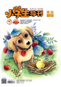 小学生导刊·低年级
