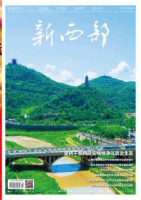 新西部期刊