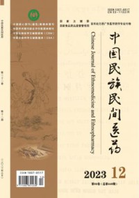 中国民族民间医药