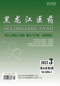 黑龙江医药期刊
