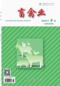 畜禽业期刊
