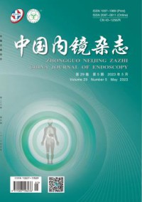 中国内镜期刊