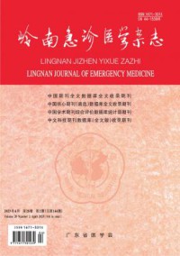 岭南急诊医学期刊