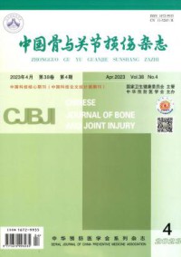 中国骨与关节损伤
