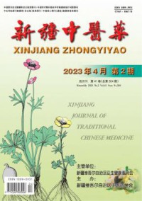 新疆中医药