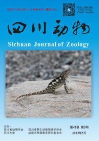 四川动物期刊
