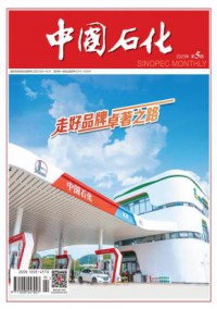 中国石化期刊