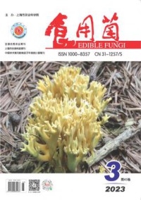 食用菌期刊