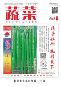 蔬菜期刊