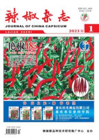 辣椒期刊