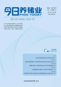 今日养猪业期刊