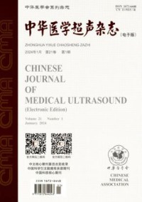 中华医学超声