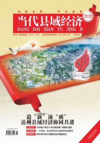 当代县域经济期刊