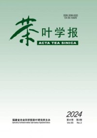 茶叶学报