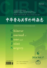 中华骨与关节外科期刊