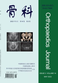 武汉医学期刊