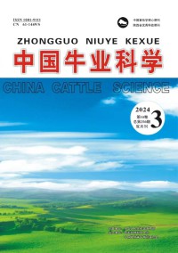 黄牛期刊