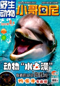 小哥白尼·野生动物画报