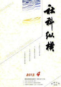 社科纵横·新理论版期刊