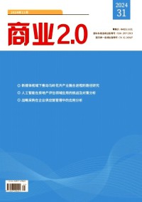 商业2.0期刊