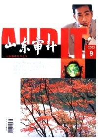 山东审计杂志