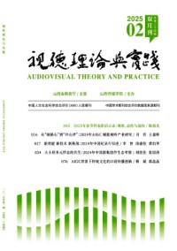 视听理论与实践杂志