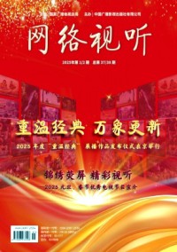 网络视听杂志