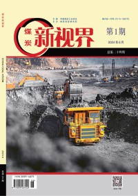 煤炭新视界杂志