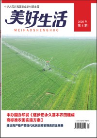 美好生活杂志