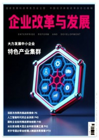 企业改革与发展