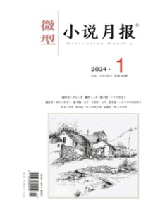 微型小说月报杂志