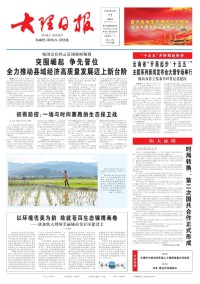 大理日报(汉)